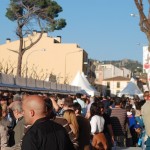 Falset wine fair 2013