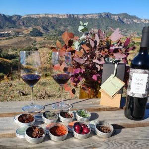 SomAromes + Mas de les Valls wine tasting kit, DOQ Priorat
