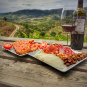 wine tasting with pica-pica in the vineyard, Priorat, Celler Devinssi, Gratallops