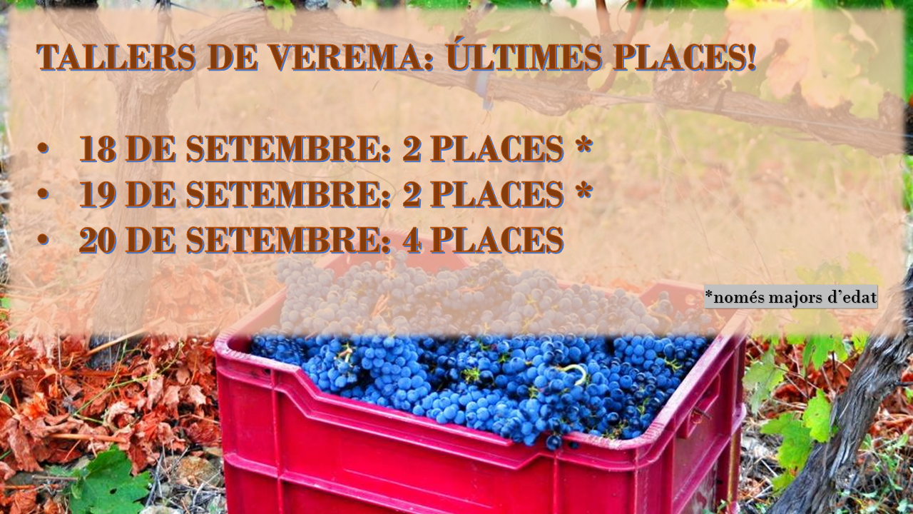 Grape harvest workshops are back to Gratallops, DOQ Priorat, on 18-20 September 2021