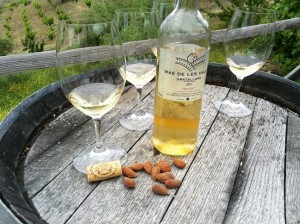 celler devinssi wine tours mas de les valls blanc Priorat Gratallops