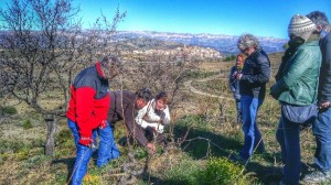 wine tourism in Priorat: grapevine pruning master class calçotada Gratallops
