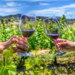 priorat wine tasting in the vineyard gratallops devinssi