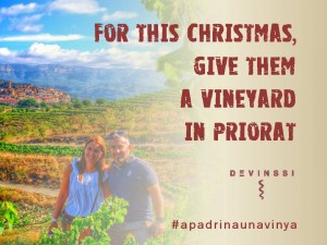original gift idea christmas adopt a grapevine priorat devinssi
