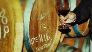 Visite à la cave et dégustation de vin nouveau, DOQ Priorat (Journée mondiale de l'œnotourisme)