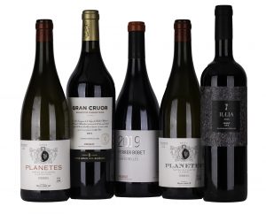 dégustation de vins DOQ Priorat, vins top DOQ Priorat, Eckhard Supp Enos Wein & Kultur