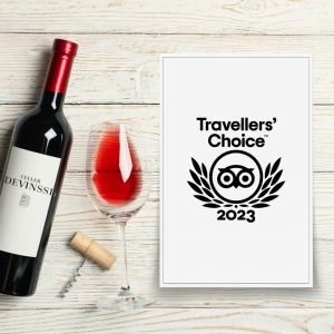 les meilleures caves à vin du Priorat Tarragone Catalogne selon TripAdvisor